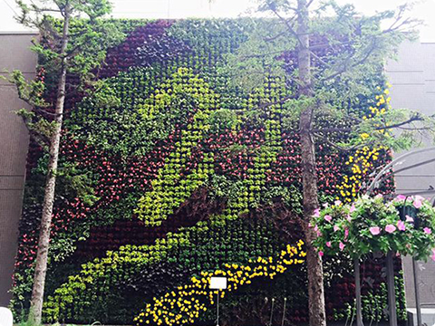 札幌東武ホテル壁面緑化