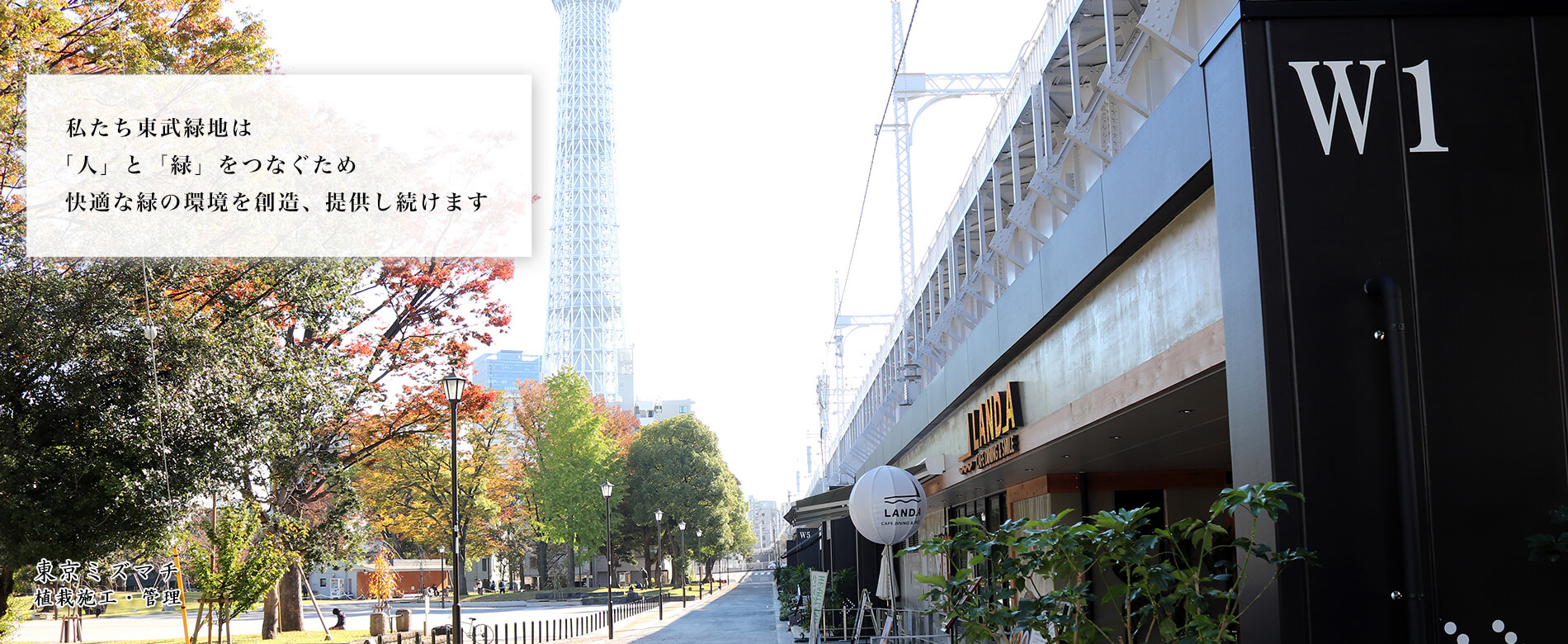東京ミズマチ 植栽施工・管理