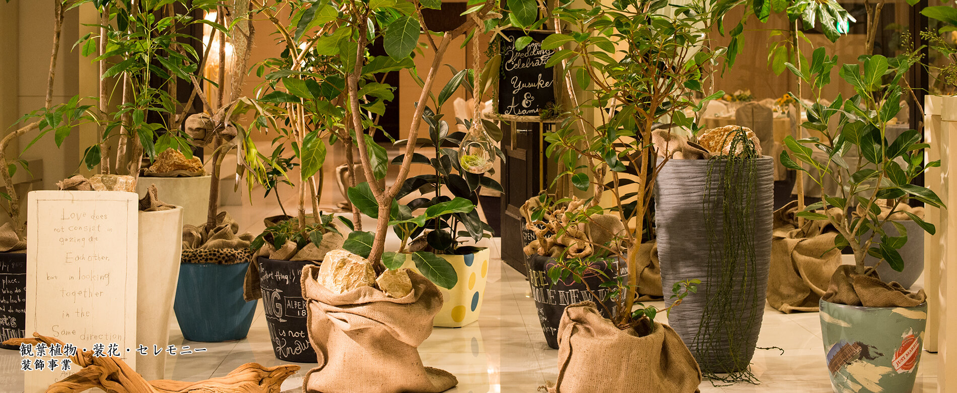 観葉植物・装花・セレモニー 装飾事業